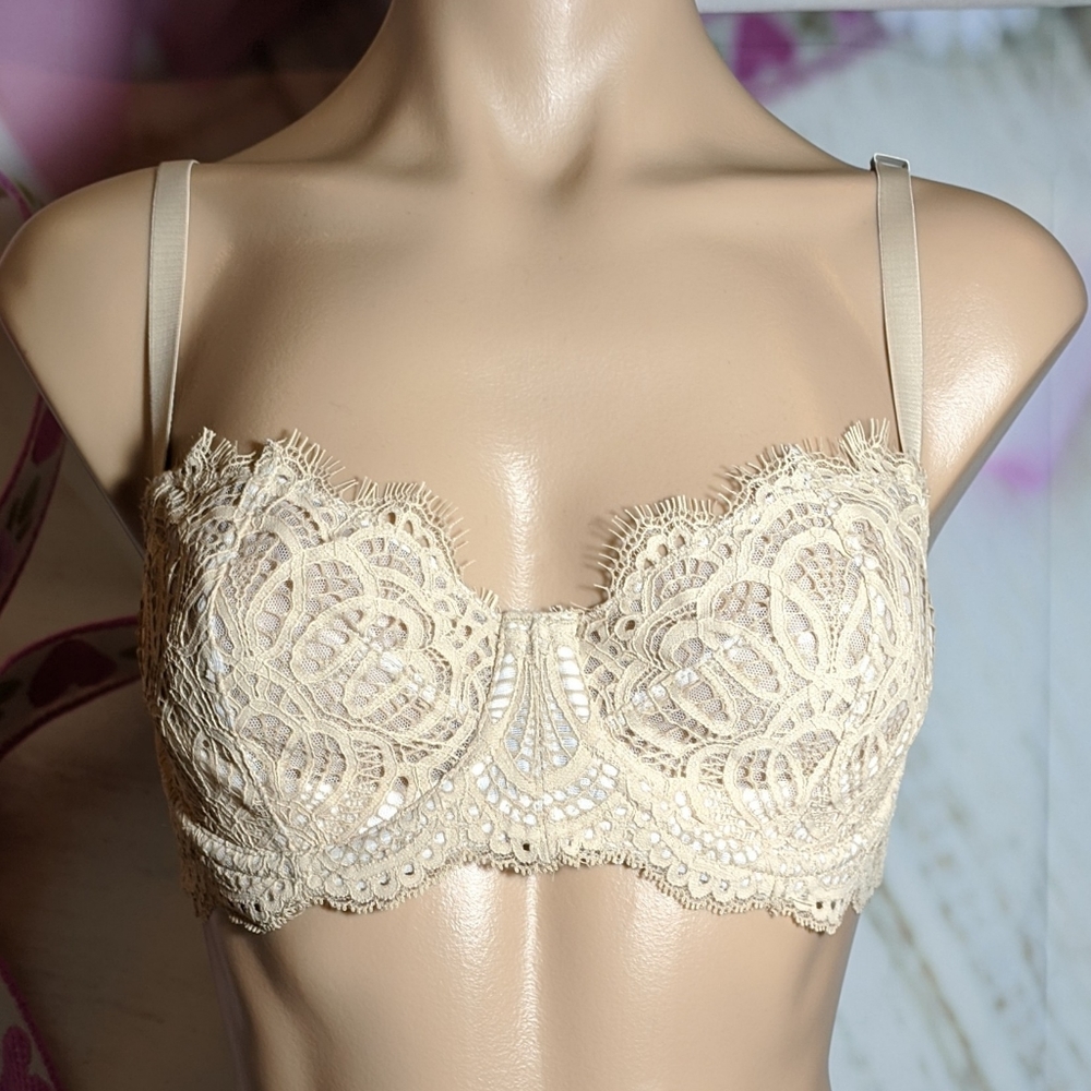 VS victoria secret Bra Wicked Dream Angels push up ercu